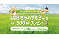 新生活を応援~滋賀県産・金賞受賞米3kgを入居者様500名に提供~