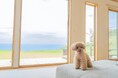 【1日1組限定】館山 布良海岸 愛犬と過ごす至福のリゾートヴィラ|9月12日(金)GRAND OPEN