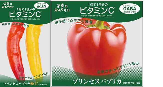 栄養体の内側