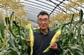 こしがやの夏野菜を食べよう！