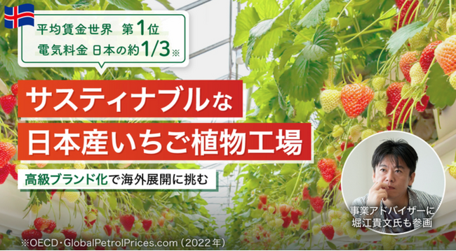 平均賃金世界一アイスランド