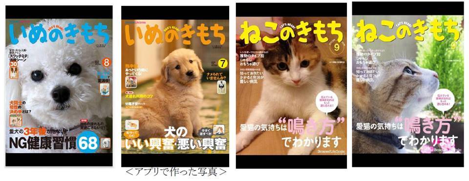 スマートフォンアプリ いぬのきもちカメラ ねこのきもちカメラ アプリで作った画像による愛犬 愛猫自慢コンテスト 11月29日まで応募受付 株式会社ベネッセホールディングスのプレスリリース