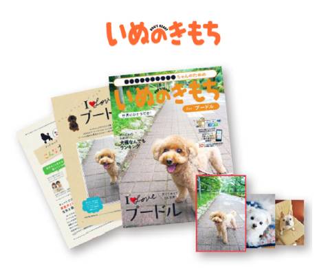 あなたの愛犬が表紙モデルとしてデビュー！ 15犬種＋3サイズ計18種類のブックからあなたの愛犬に合った内容をセレクト。永久保存版です。