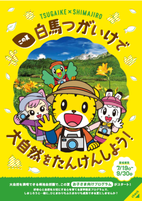 7 19より中部山岳国立公園 栂池 つがいけ 自然園 にて こどもちゃれんじ 企画監修の体験型プログラム しぜんたんけんカメラマンになろう が開始 株式会社ベネッセホールディングスのプレスリリース