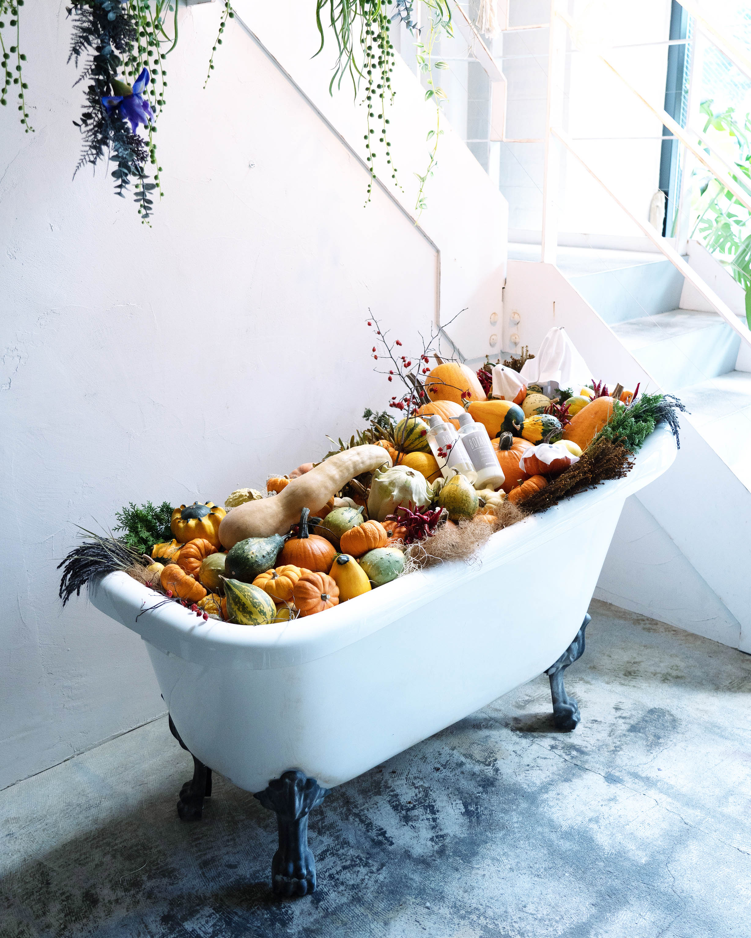 仮装にぴったりのハロウィンアレンジをsaloniaで プロのスタイリストによる無料ヘアアレンジサービスを実施 株式会社i neのプレスリリース