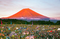 10月の3連休・富士山麓で行う音楽×キャンプの祭典|朝霧JAM2024タイムテーブル発表!