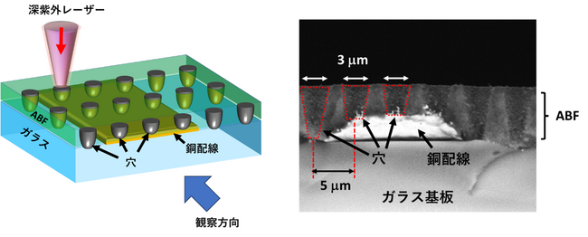 図2：作成した微細穴の断面電子顕微鏡写真
