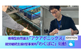 【千葉県初】循環型自然農法「アクアポニックス」×就労継続支援B型事業所「わくぽに」サービス提供開始「高麗人参」×「錦鯉」、高単価アクアポニックスモデルで、平均工賃の約3倍 4.5万円を目指す