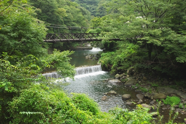 早川渓谷を望む絶好のロケーション