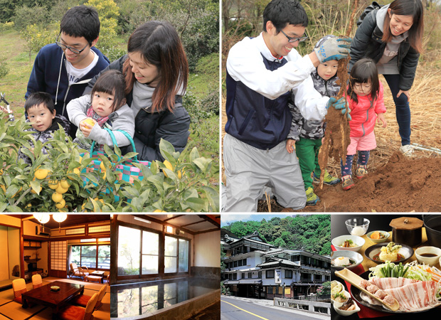 農園での体験は、お子様との旅の思い出に