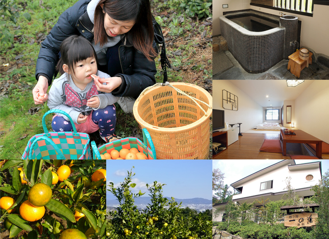 箱根温泉旅館 一の湯 と柑橘農園 國見農園 みかん狩り宿泊プラン販売開始 株式会社一の湯のプレスリリース