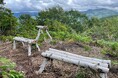 【岐阜県飛騨市】北アルプス一望、標高1,000m超の「天空の特等席」をみんなの手で。天蓋山に新名所「白樺ブランコ」を創り出すDIYプロジェクトを開催