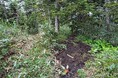 【岐阜県飛騨市】北ノ俣岳に立ちはだかり登山者の心を折る「ドロドロ区間」を解消へ！全国からの支援をカタチにできる木道設置作業を9月に実施するためボランティア募集を開始