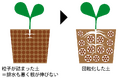 【夏の干ばつ対策にも】土壌保水率アップ！作物を育てる理想の環境「隙間6割の団粒構造」を瞬時に作り出す「EB-a（イービーエー）」を販売開始