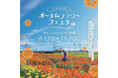 九州最大規模のケイトウ畑「ブライトスパークス」が高原を染上げる