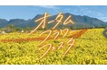 標高850mの絶景「空とつながる天空の花畑 オータムフラワーフェスタ」9月12日(土)より開催！「高原の彩り」7,000㎡を埋め尽くす7万株のイエローとオレンジの「アフリカンマリーゴールド」が登場