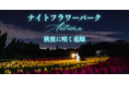 【大分・久住高原】標高850m、秋の夜空と満天の星が彩る「ナイトフラワーパークAutumn ～秋夜に咲く花畑～」を10月限定5日間で開催！