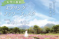 くじゅう花公園スプリングフラワーフェスタ開催