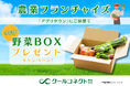 農業フランチャイズ「アグリタウン」、2周年を記念した野菜BOXプレゼントキャンペーン開始のお知らせ