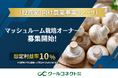 【クールコネクト株式会社】「投資家」向け農業事業(ノーサ)、新プラン「マッシュルーム栽培オーナー募集開始」のお知らせ