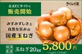 【ECサイトきくらげ屋】国産玉ねぎの販売開始のお知らせ