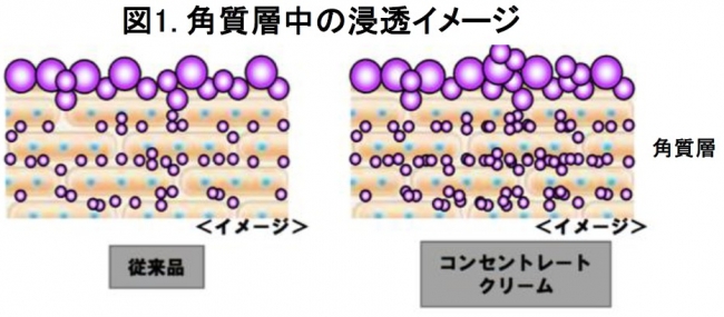 高い美容効果〔注①〕ととろけるような肌ざわりの数量限定クリーム 肌