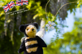 英国のダイヤモンドカッター「モニッケンダム」English Daisy ＆ Little Bee を発売