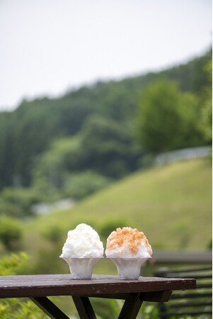 高原みるく(左)といちご(右) 高原みるく(左)といちご(右)