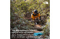 [山梨県北杜市×THE NORTH FACE]　山を守り、活かす―近自然工法による登山道整備―「Trail Maintenance in HOKUTO」　今年で4回目、初の瑞牆山歩道整備を実施