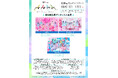 北陸最大のアイドルフェス「UP-T presents かがやきフェス2025」第6弾出演アーティスト発表︕HEROINESの3組を追加発表!現在96組がラインナップ!