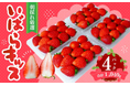 【茨城県常陸太田市】今が旬！ふるさと納税で大人気のいちごの返礼品をご紹介