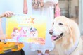 11月1日は「わんわんありがとうの日」。渋谷にわんちゃん、猫ちゃんが大集合!ペットが主役のラジオ番組『にゃんドル☆わんドル produced by 8-P & PETNAVI』第6回 放送決定!