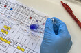 【新たな有機農業 就農者を応援!】有機農業を学び・実践する学校「ORGANIC SMILE」で第4期生の募集がはじまっています!