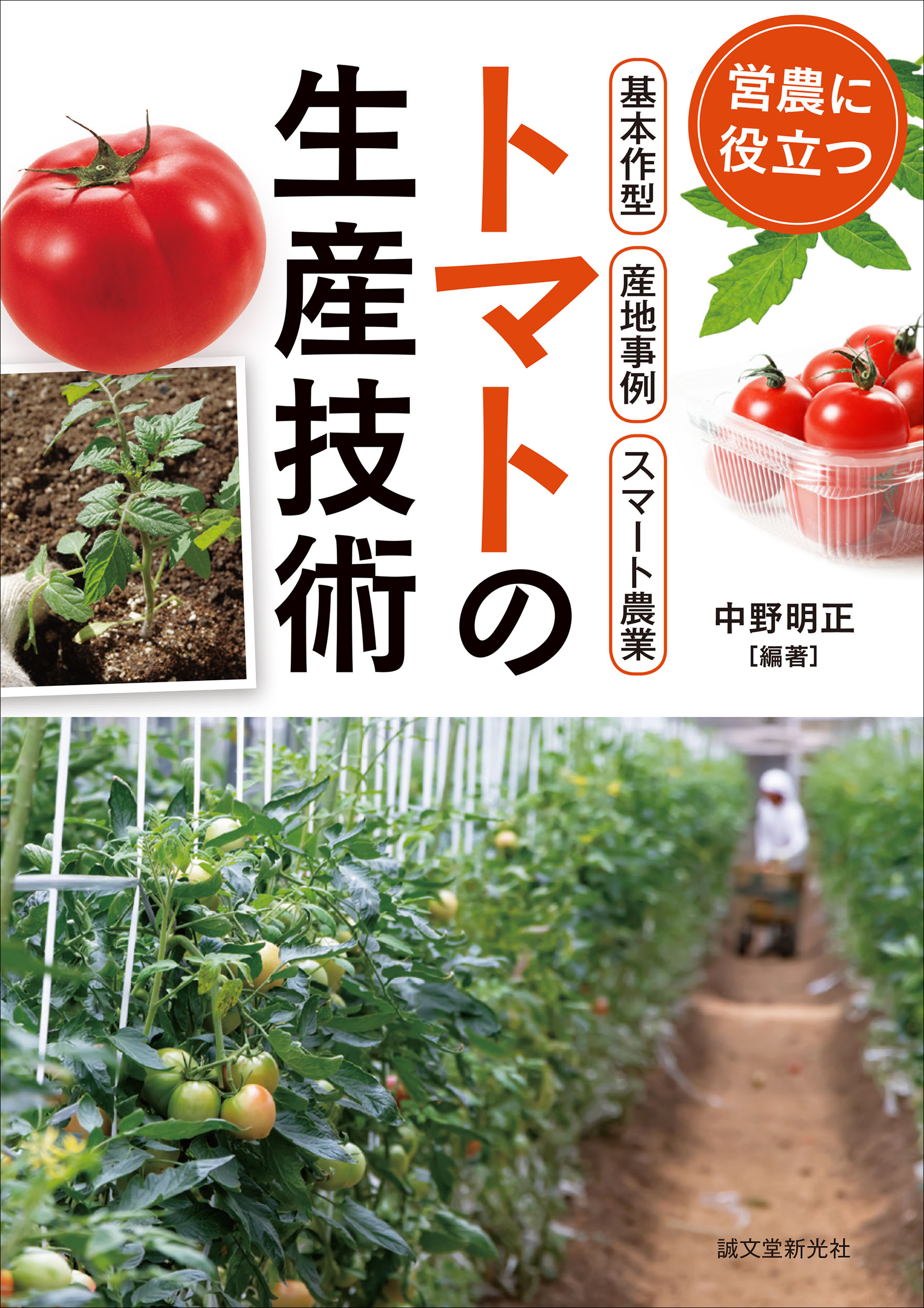 熊本県産ミニトマト「茜とまと6キロ」 - 野菜