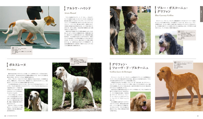 430種の世界の犬種をすべて写真付きで紹介 世界各地のさまざまな犬の姿を詳しい解説とともに紹介する犬種 図鑑の決定版 株式会社誠文堂新光社のプレスリリース