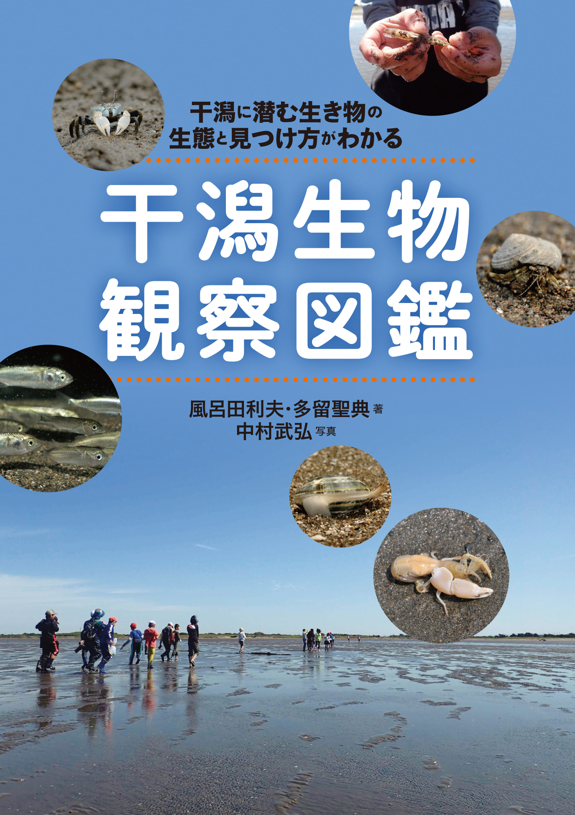 干潟に潜む生き物の生態と見つけ方がわかる『干潟生物観察図鑑』刊行の