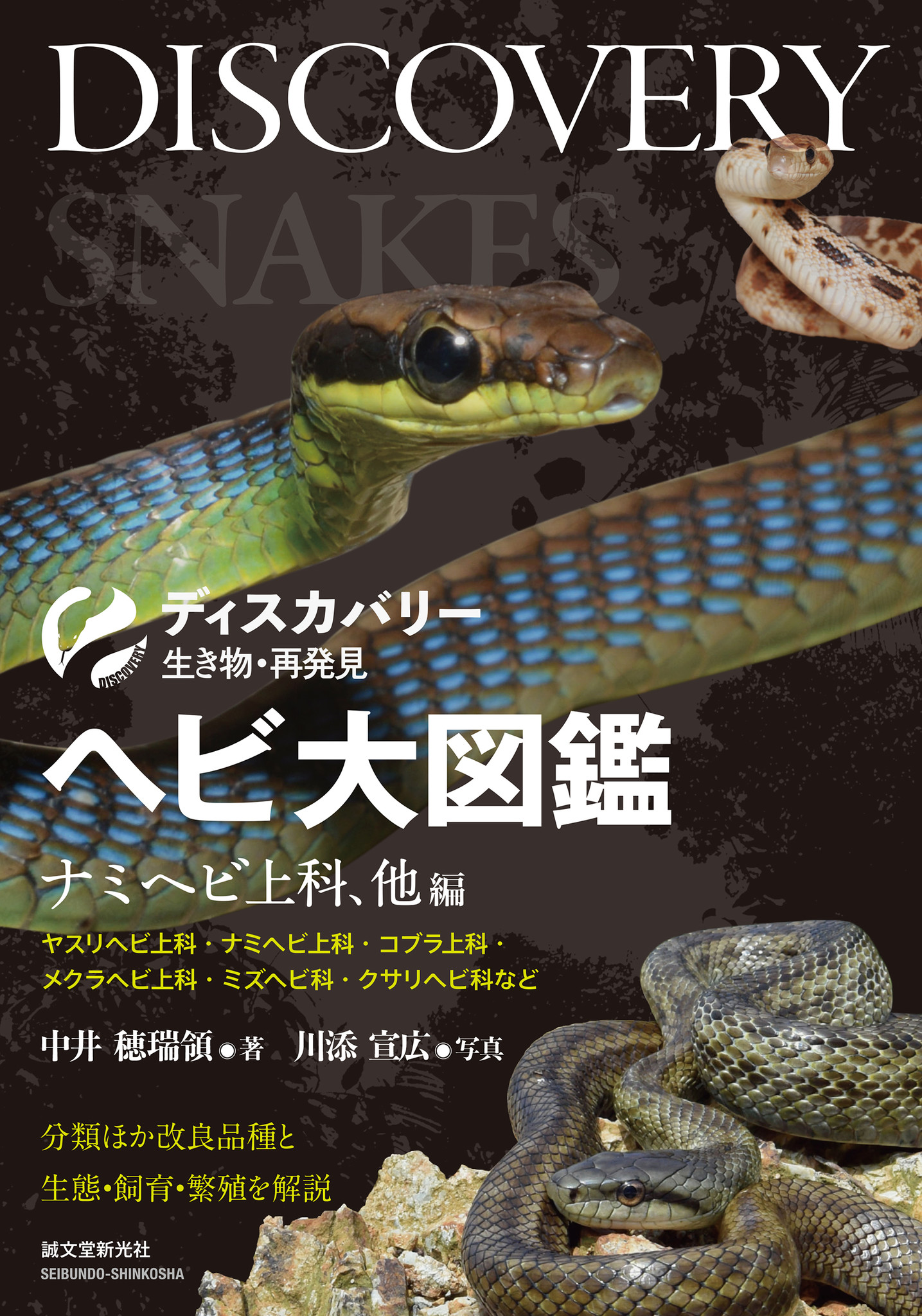 豊富な写真でヘビの魅力に 進化や特徴 飼育 繁殖と多角的に迫った一冊 ヘビ飼育や学術目的に最適 株式会社誠文堂新光社のプレスリリース