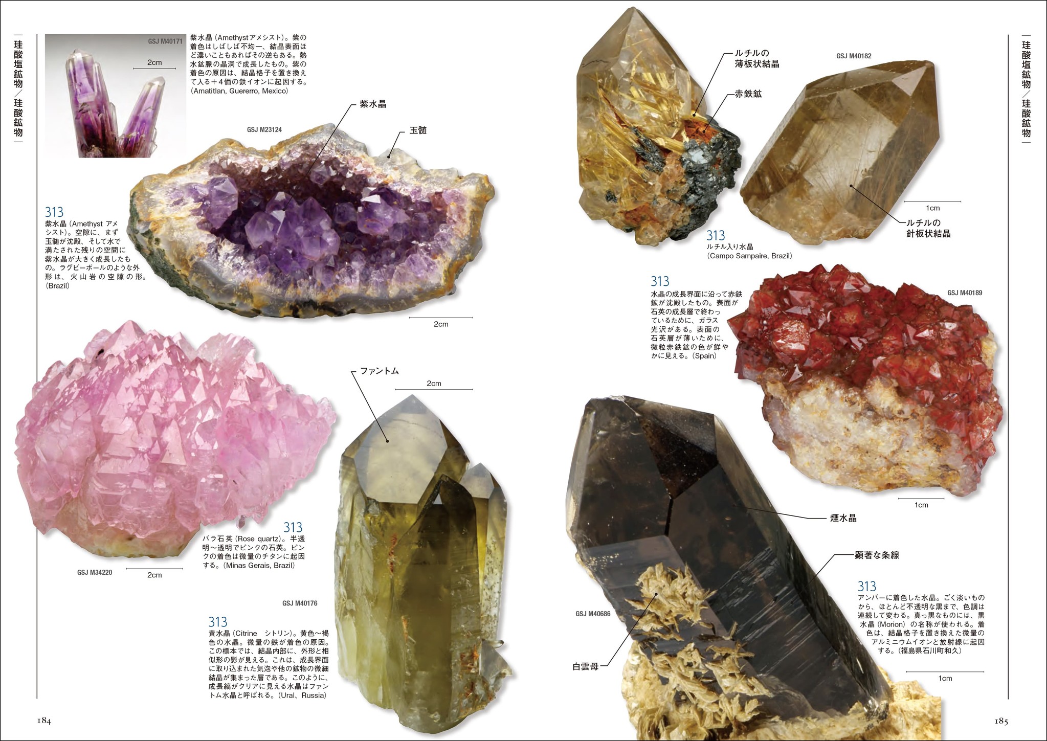 300以上の鉱物を カラー写真と特徴に沿ったわかりやすい解説で紹介 鉱物の知識が広く身に着く一冊 株式会社誠文堂新光社のプレスリリース