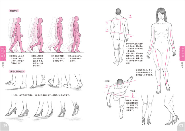 様々な絵の制作に役立つ 人体デッサンのテクニックを大公開 作例が豊富なので 人体構造をイメージしやすい 株式会社誠文堂新光社のプレスリリース