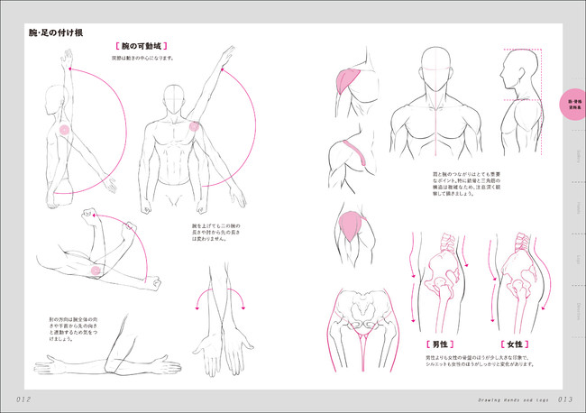 手や足の描き方を徹底解説 漫画的なインパクトのあるデフォルメ表現も学べる技法書 株式会社誠文堂新光社のプレスリリース