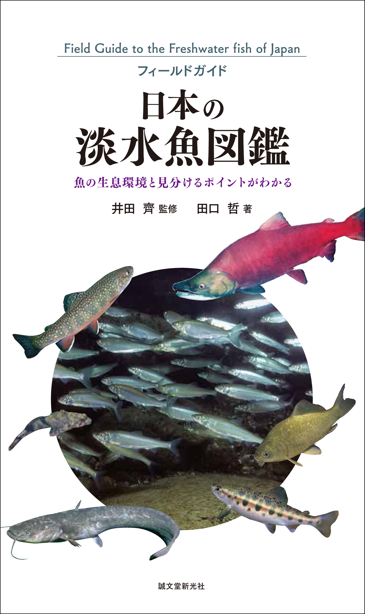 2種以上の淡水魚の生態 生息環境をご紹介 淡水魚が生息する環境で撮影した 美麗な生態写真を元に解説 株式会社誠文堂新光社のプレスリリース