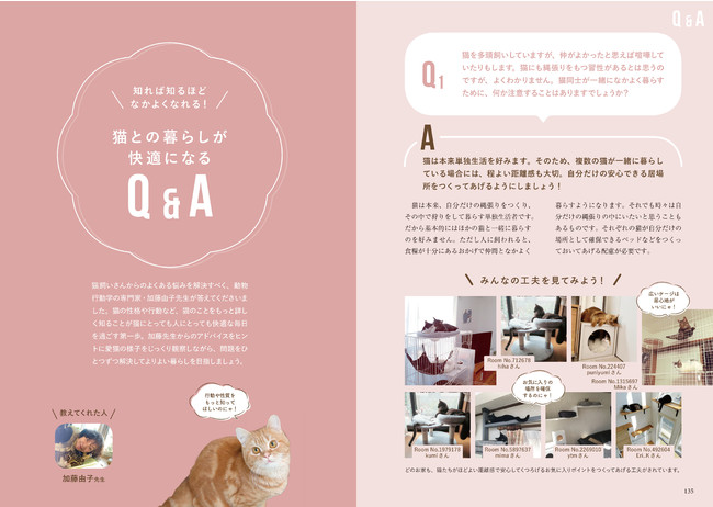 猫飼いさん必見 猫も人も快適に過ごせる部屋づくりのアイデアが満載の一冊 株式会社誠文堂新光社のプレスリリース