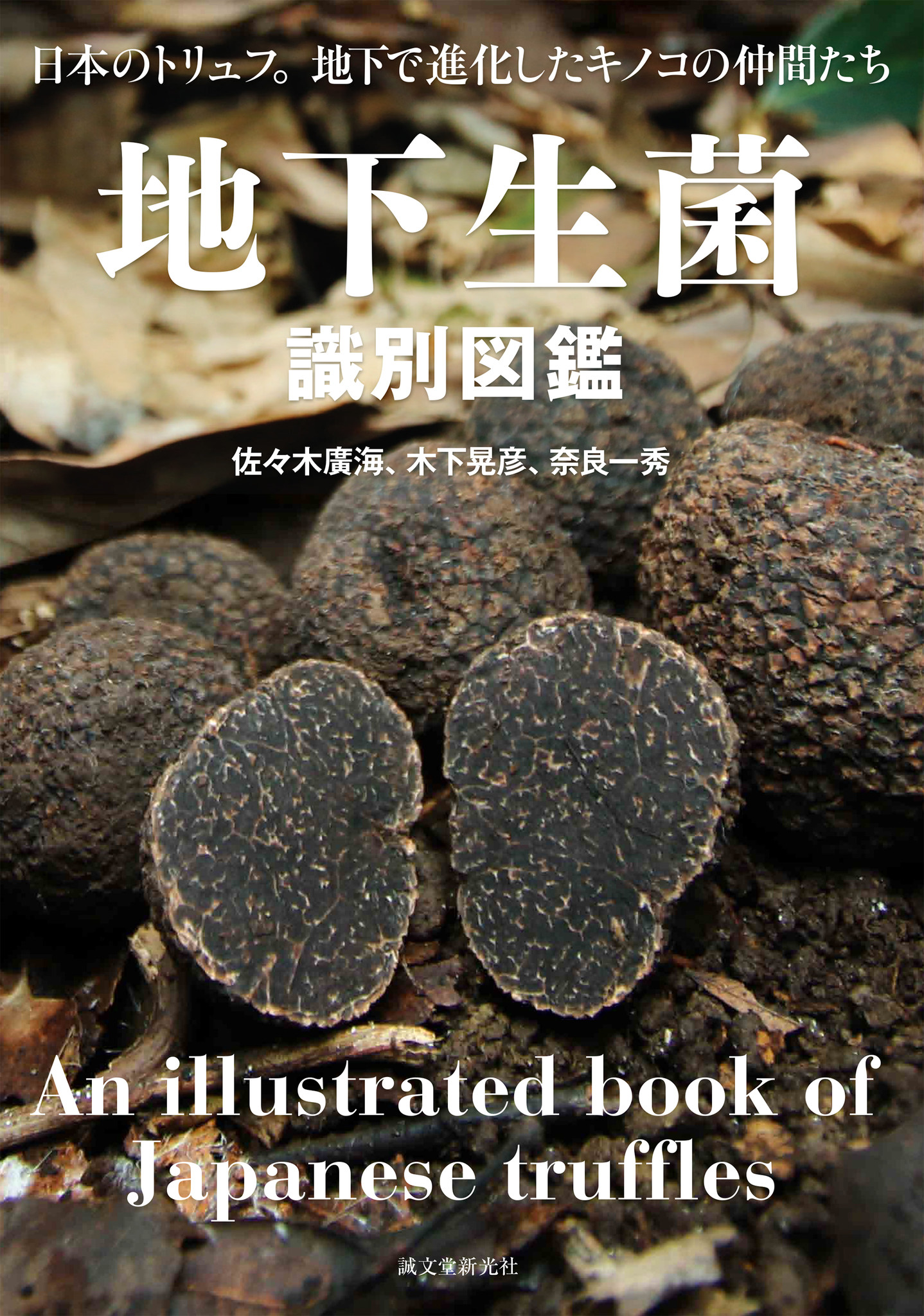 高級食材でありながら じつは身近な場所にも生えているトリュフ 地下に生える 不思議な生態をもったキノコ の仲間たちを 豊富な写真付きで紹介 株式会社誠文堂新光社のプレスリリース