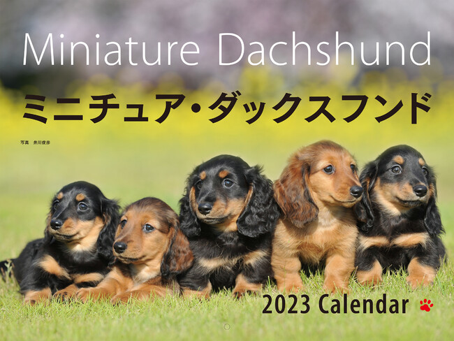 毎年大好評！ラインナップ豊富な【2023年 カレンダー】が発売開始。｜株式会社誠文堂新光社のプレスリリース