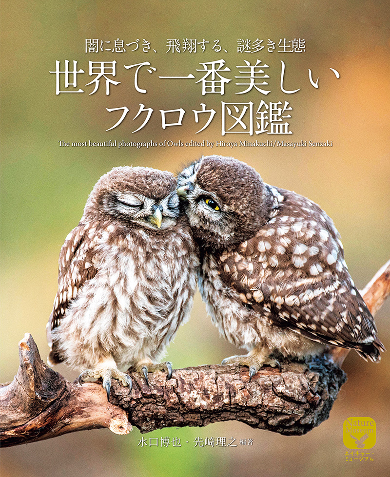 世界に生息する神秘的なフクロウ類の生態を200点近くの写真で紹介すると共に、研究者による解説を掲載。|株式会社誠文堂新光社のプレスリリース