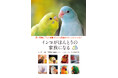 インコをわが子として接するためにする、あらゆることを正しく愛情深くお届け!