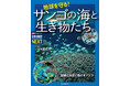 【地球を守るサンゴの秘密とは？】サンゴ礁は海の森。生き物たちが暮らす環境を見てみよう！