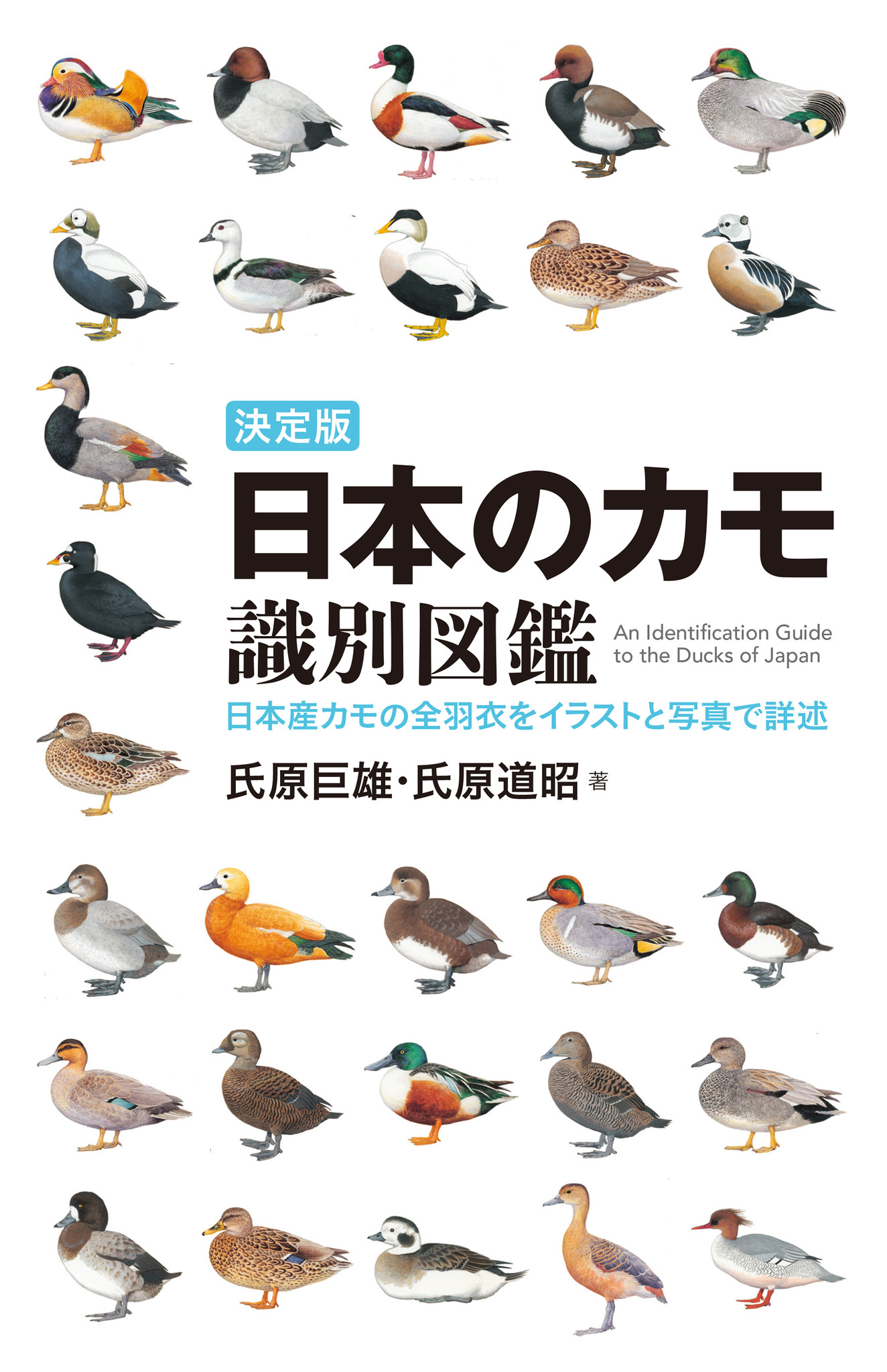 カモ観察の入門から カモの年齢識別 雑種 雄化個体など カモ観察のすべての場面に対応できる 決定版 日本のカモ 識別図鑑 株式会社誠文堂新光社のプレスリリース