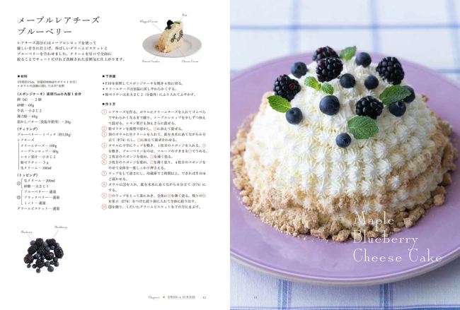 特別な日にふさわしいケーキが初心者でも簡単に作れる ドームケーキ のレシピ集が刊行 株式会社誠文堂新光社のプレスリリース