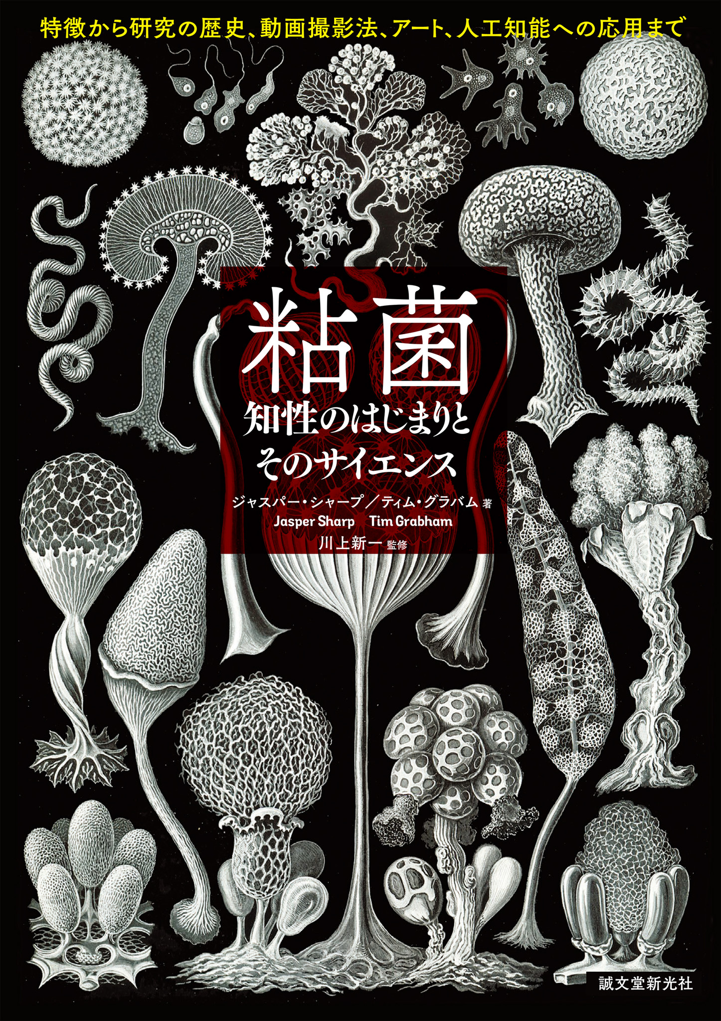 シルバー/レッド ☆ 生物系粘菌学を学ぶ人向け稀少本南方熊楠菌誌二冊